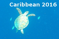 The Caribbean 2016